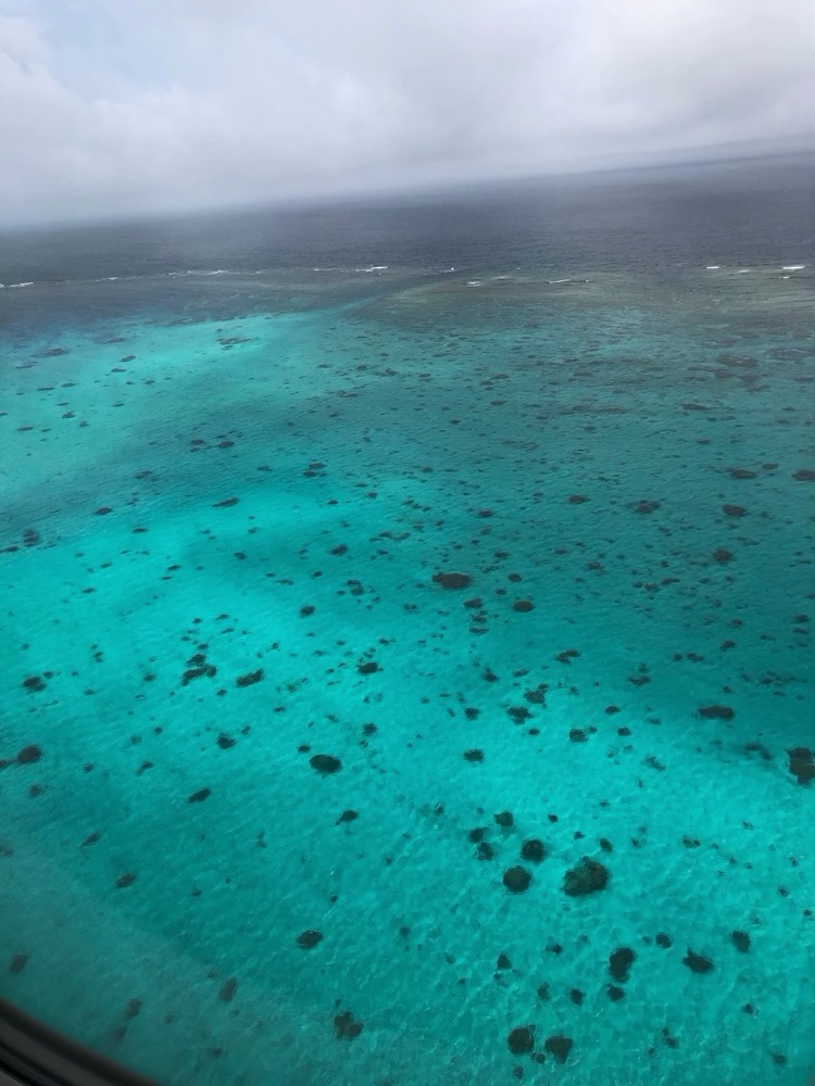 低空飛行中の写真