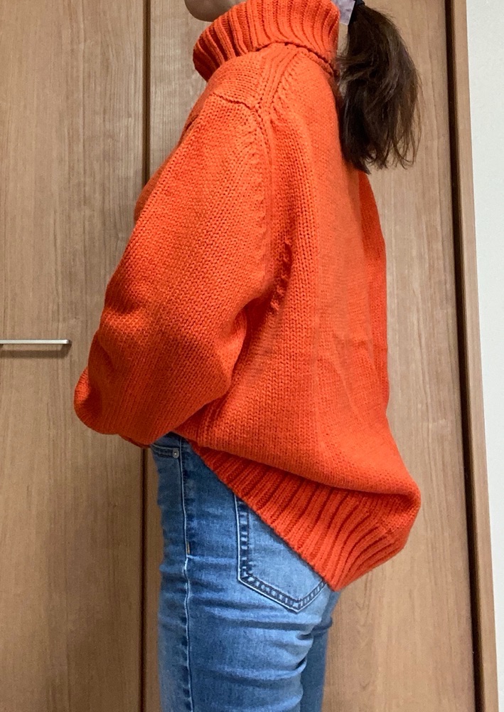 メンズローゲージタートルネックセーター着画