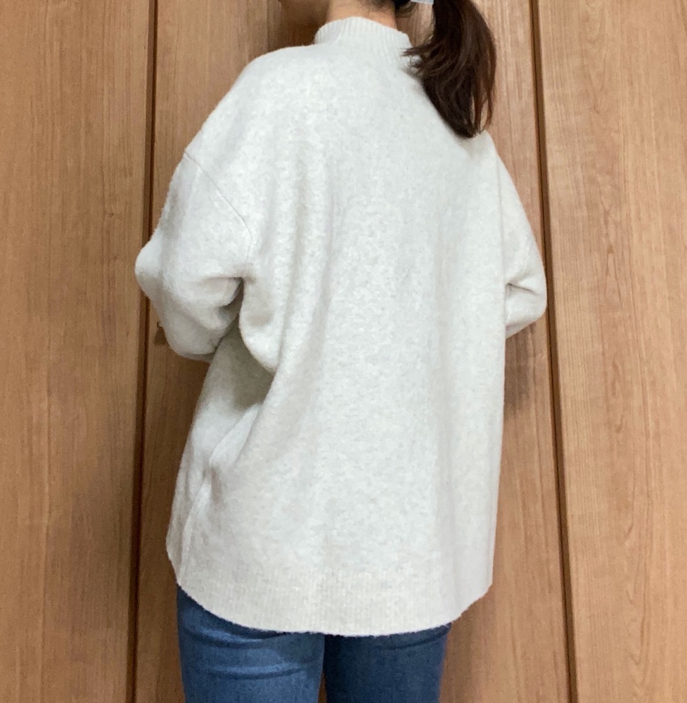 スフレヤーン着画